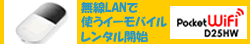 イーモバイル PocketWiFi レンタル
