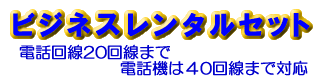 �r�W�l�X�����^���Z�b�g