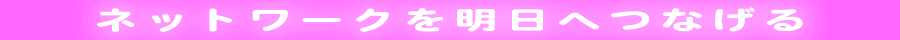 �l�b�g���[�N�𖾓��ւȂ��郌���^����TDSC